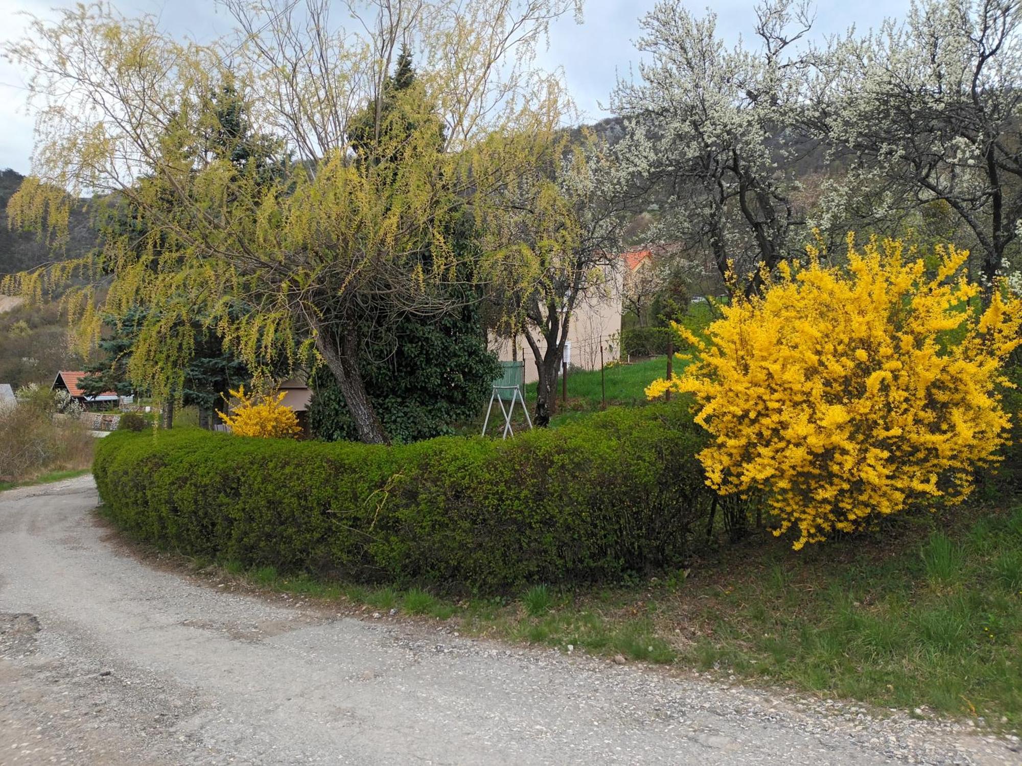 Villa Evetes Jablonov nad Turnou Eksteriør bilde